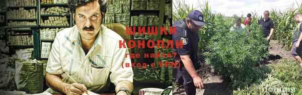 дурь Семикаракорск